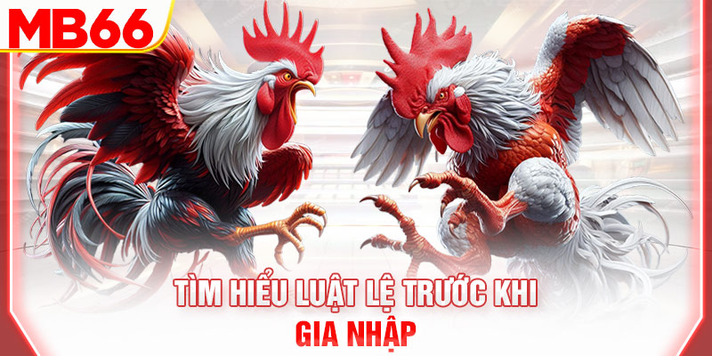 tim-hieu-luat-le-truoc-khi-gia-nhap