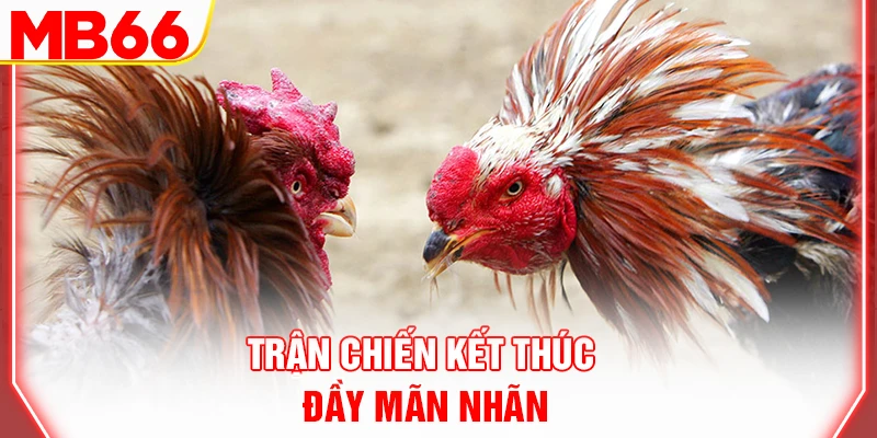 tran-chien-ket-thuc-day-man-nhan