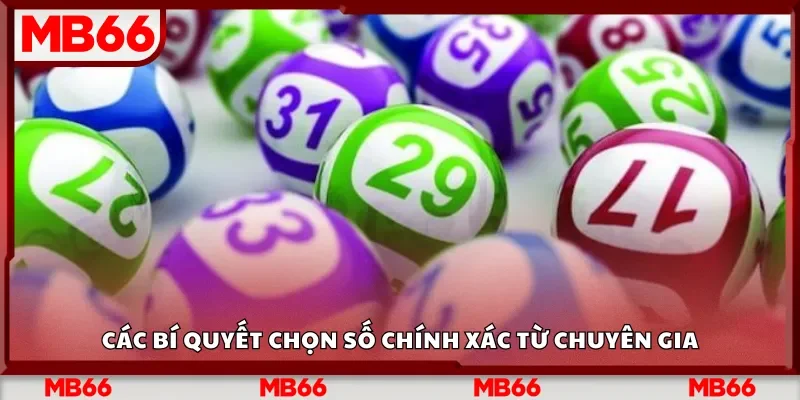 Các bí quyết chọn số chính xác từ chuyên gia