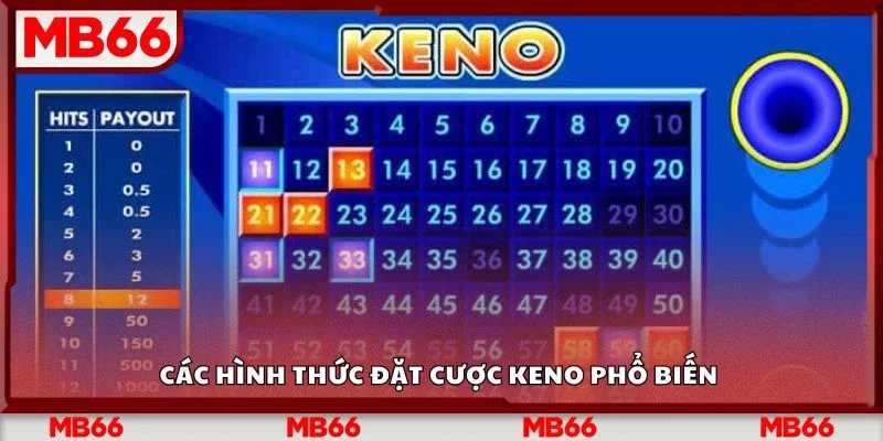 Các hình thức đặt cược Keno phổ biến