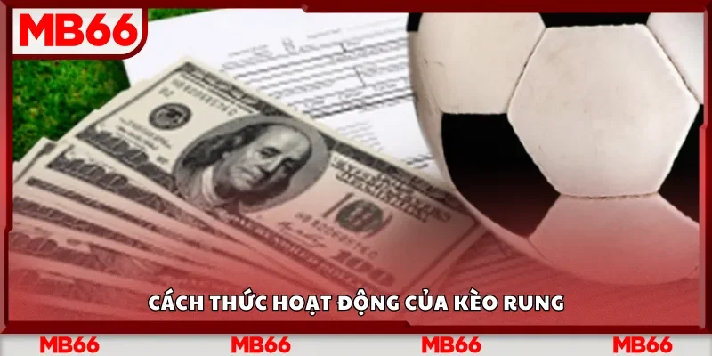 Cách thức hoạt động của kèo rung
